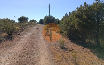 Property slide 12