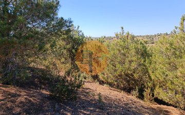 Property slide 29