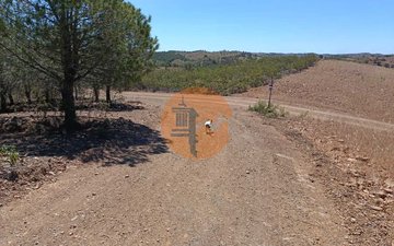 Property slide 8