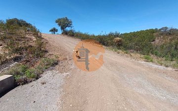 Property slide 19