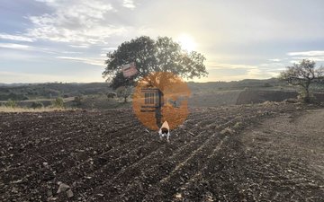 Property slide 32
