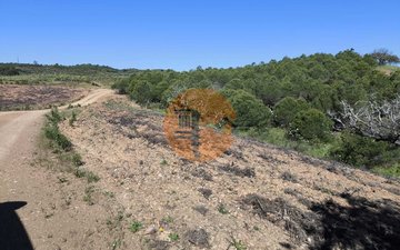 Property slide 35