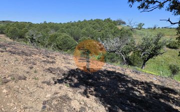 Property slide 38