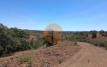 Property slide 24