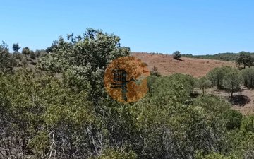 Property slide 31