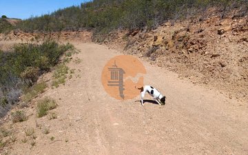 Property slide 15