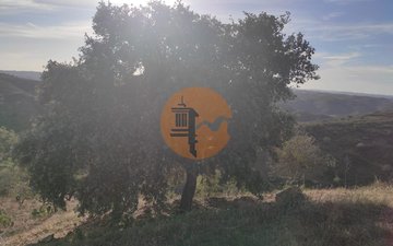 Property slide 22