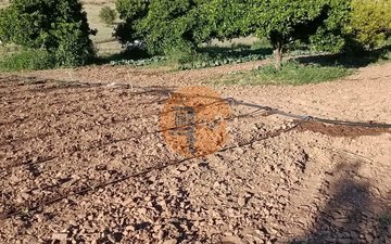 Property slide 33