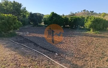 Property slide 36