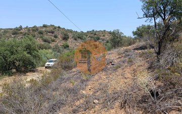 Property slide 21