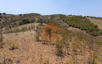 Property slide 26