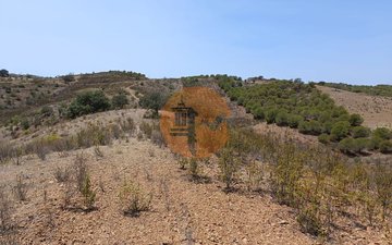Property slide 27
