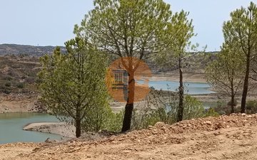 Property slide 23