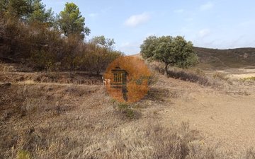 Property slide 22