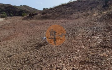 Property slide 41