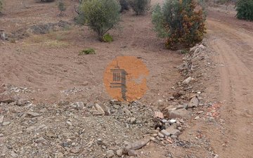 Property slide 7