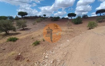 Property slide 29