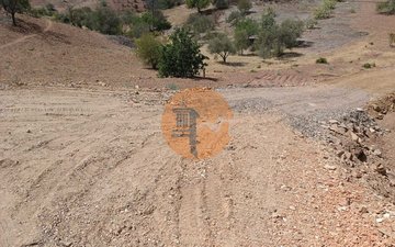 Property slide 33