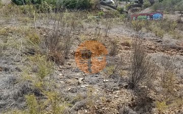 Property slide 16