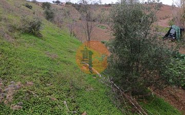 Property slide 34