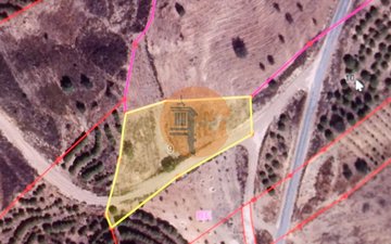Property slide 11