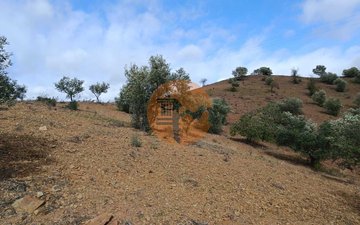 Property slide 13