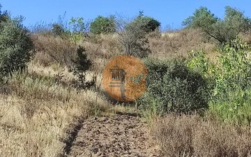 Property slide 29