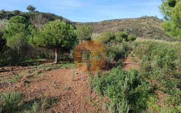Property slide 35