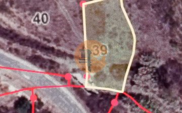 Property slide 19