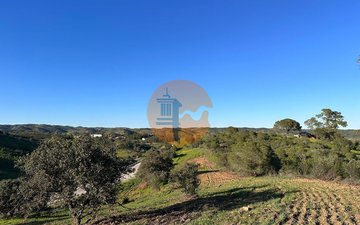 Property slide 6