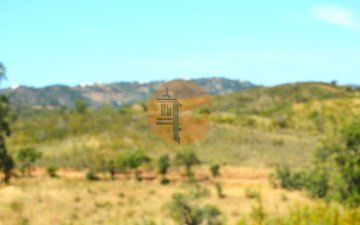 Property slide 6