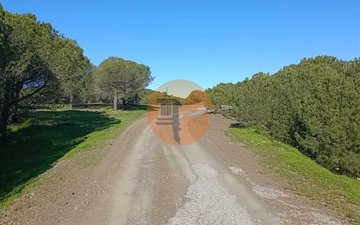 Property slide 37