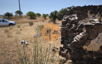 Property slide 30