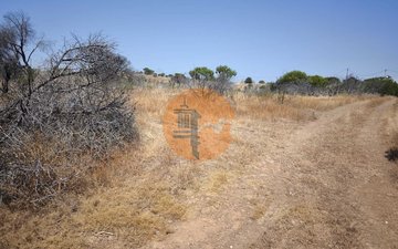 Property slide 33