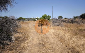 Property slide 38