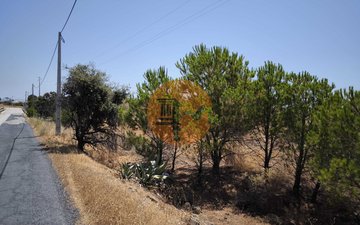 Property slide 25