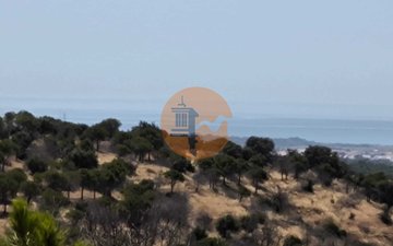 Property slide 41