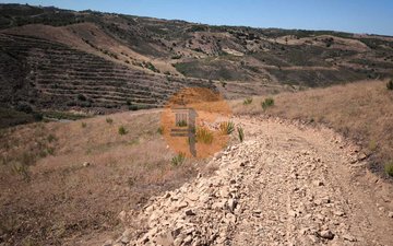 Property slide 16