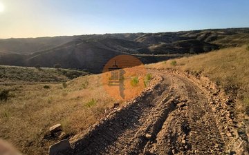 Property slide 24