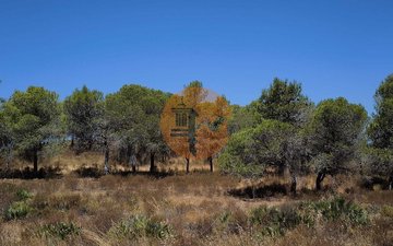 Property slide 8