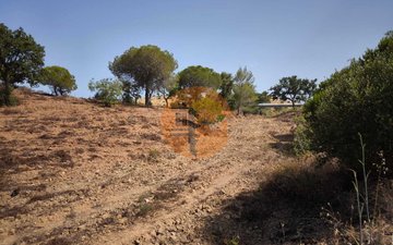 Property slide 34
