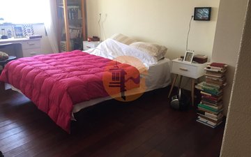 Property slide 13