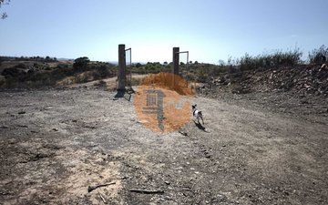 Property slide 12