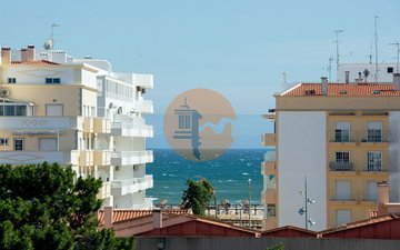 Property slide 12