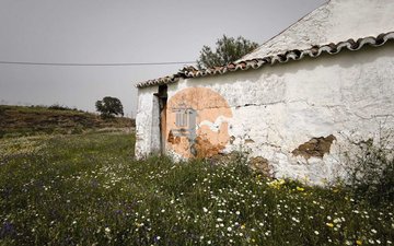 Property slide 30