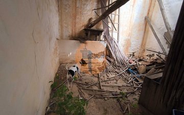 Property slide 31