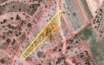 Property slide 10