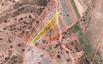 Property slide 21
