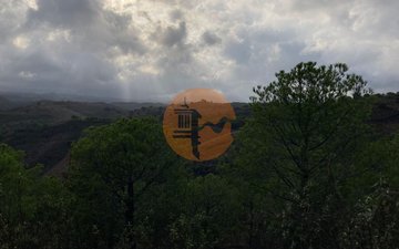 Property slide 10