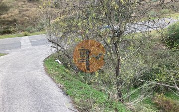 Property slide 20